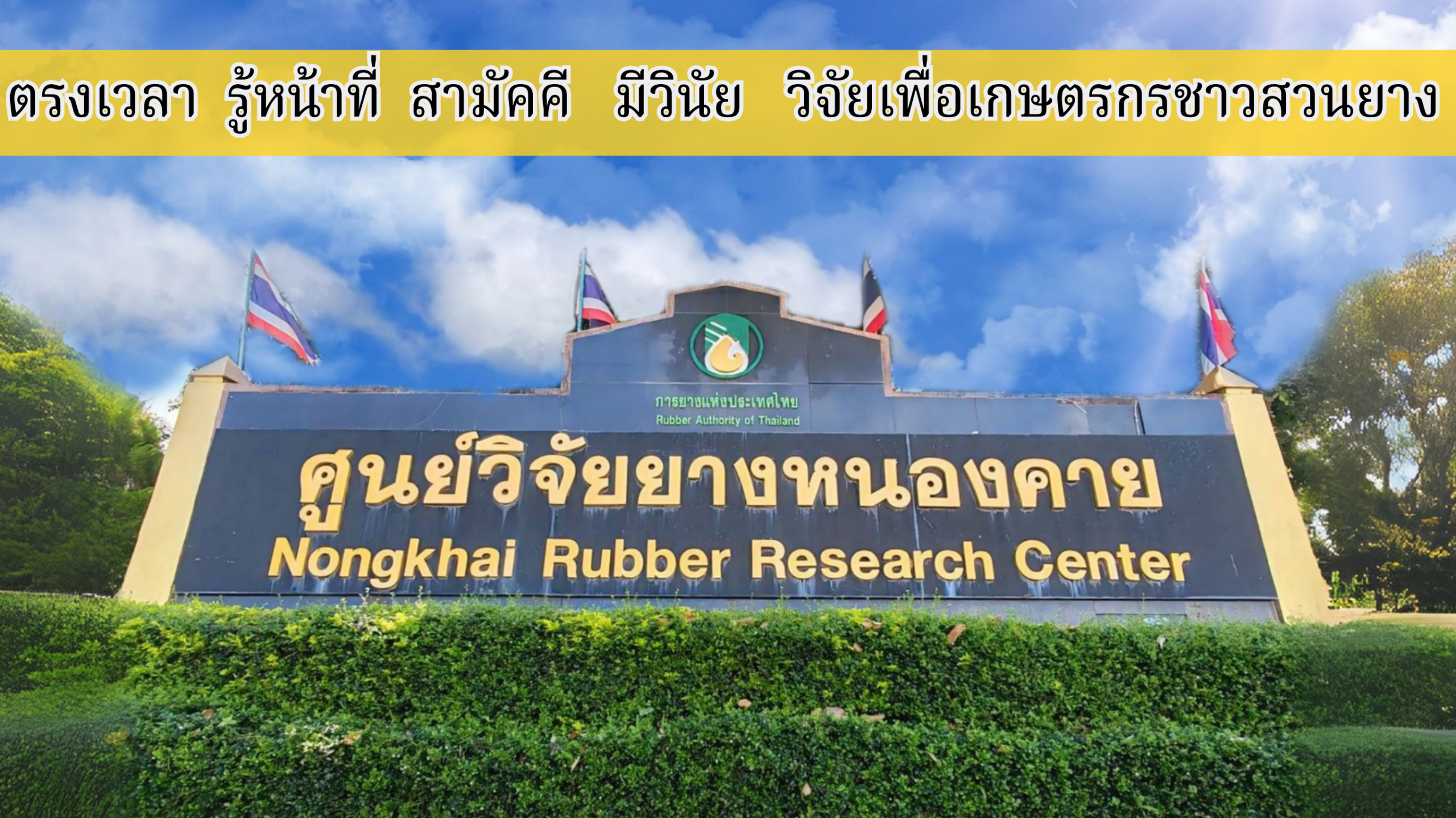 หน้าหลัก